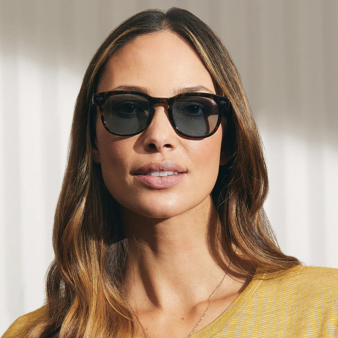 Moscot - Gelt Tortoise