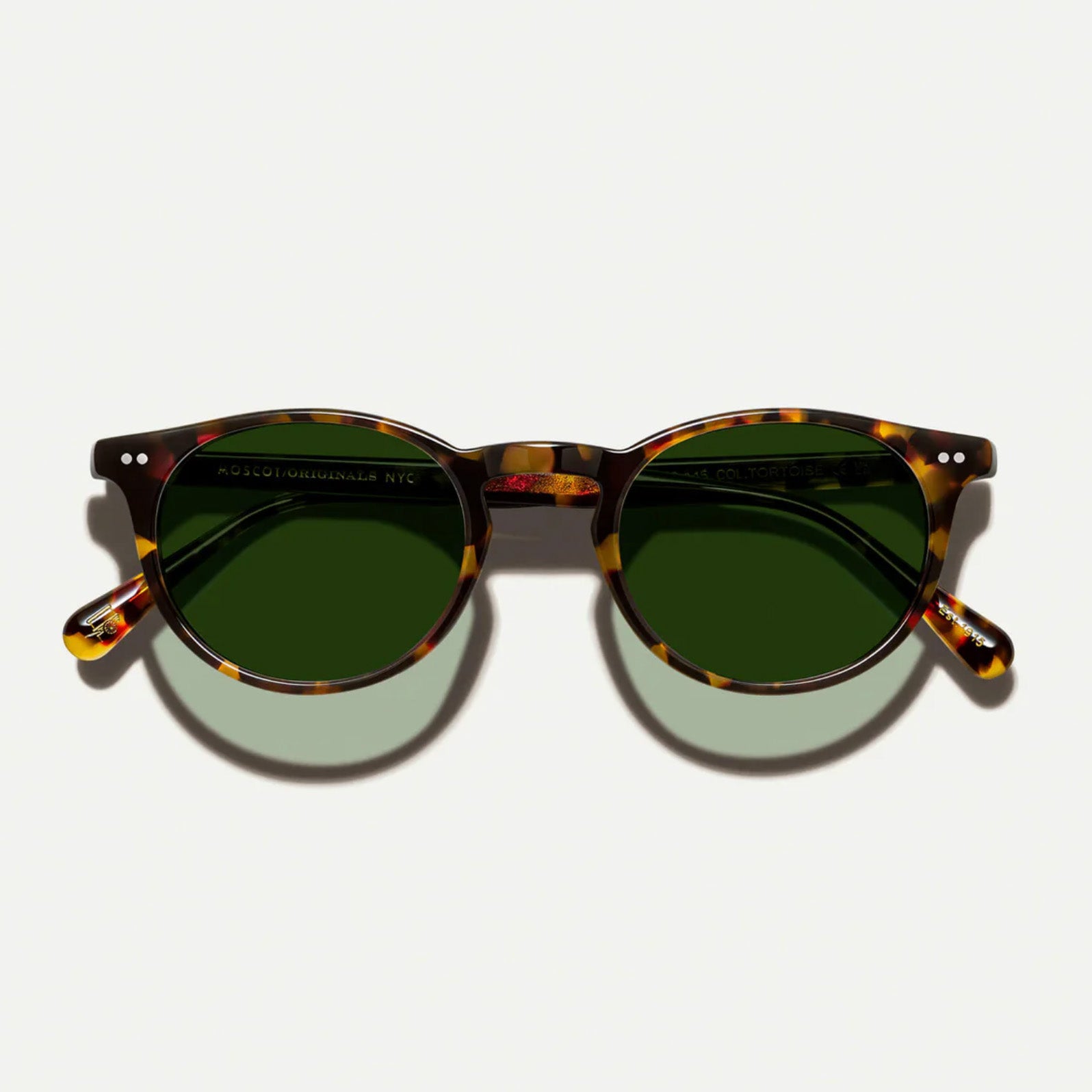 Moscot - Frankie Tortoise